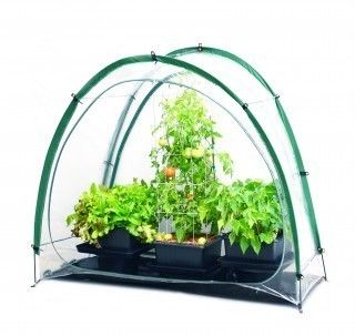 Culti Cave Mini Greenhouse Gardening Kit Portable Indoor Equipment for