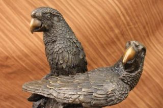  Grey Parrot Bronze Sculpture Marble Base Art Deco Figurine Bird SALE