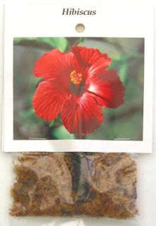 Hawaiian Red Hibiscus Plant Cutting Grow Hawaii