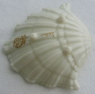 Antique George  Royal China Works Worcester Porcelain Shell