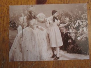  of oz Postcard Fotocard Dorothy Glenda Sepia Ludlow Munchkins