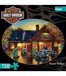 CAMEO COLLECTION HARLEY DAVIDSON JIGSAW PUZZLE PICTURE PERFECT