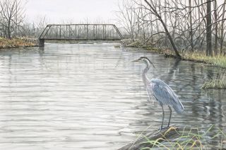 Frase Original Oil Painting Great Blue Heron River Landscape Bridge