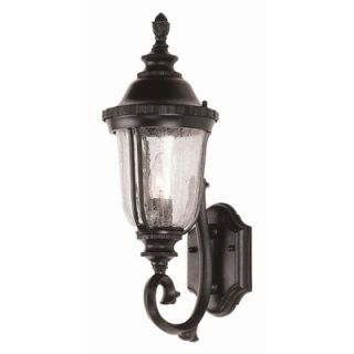 TransGlobe Lighting Outdoor 20 Wall Lantern with Crackle Glass Shade