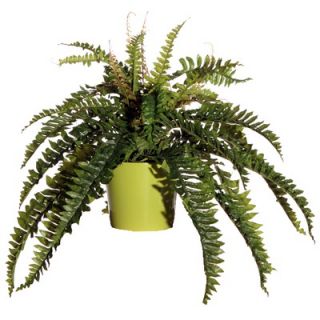 Vickerman Floral 24 Artificial Potted Boston Fern in Green