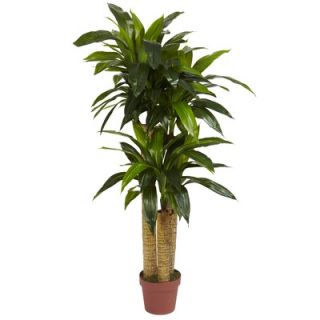 Nearly Natural 4 Corn Stalk Dracaena Silk Plant (Real Touch)   6648