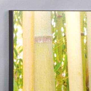  Piece Hawaiian Bamboo Forest Laminated Framed Wall Art Set   36 x 44