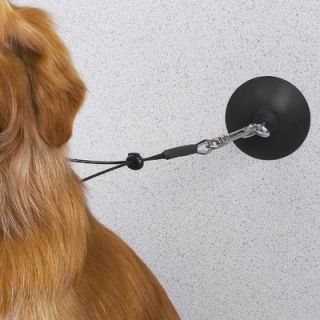Top Performance Dog Suction Cup