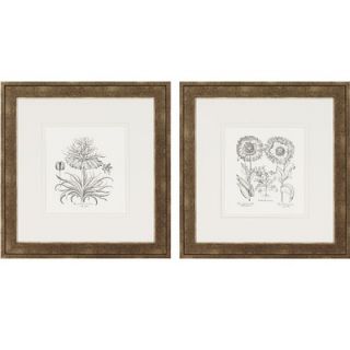 Paragon Flower Impressions Tordilion/Corona Set of Two Framed Print