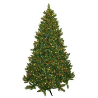Evergreen Fir Prelit Christmas Tree with 700 Multicolored Lights