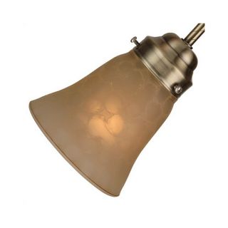 25 Neck Tinted Glass Flare Bell Shade in Tea Stain