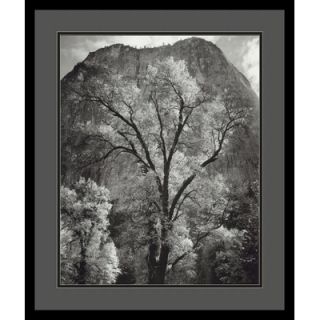 Amanti Art Autumn Tree Against Cathedral Rocks by Ansel Adams, Black