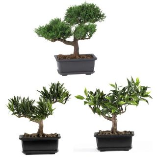 Silk Bonsai Plant in Green (Set of 3)