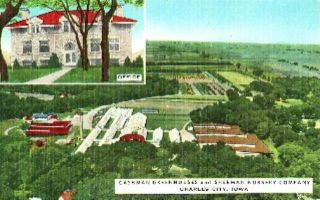 Cashman Greenhouses s Nursery Charles City IA Postcard