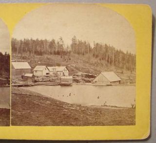 Hardwick VT Photo Stereoview Tucker Sawmill 1 1877