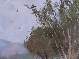  Oil Painting Hal Penrod w Stetson Ave Hemet CA Birds 9 x 12