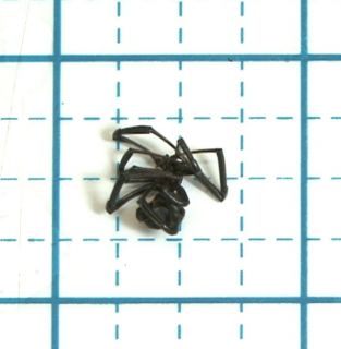  Black Widow Spider Female Dead Latrodectus L Hesperus Western