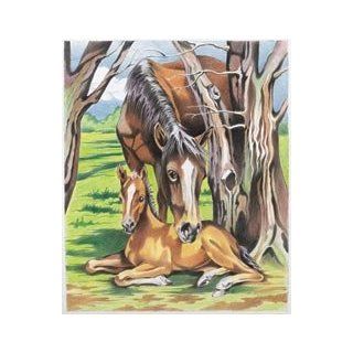 Reeves Color By Number Kit 9X12 Horse & Foal; 2 Items