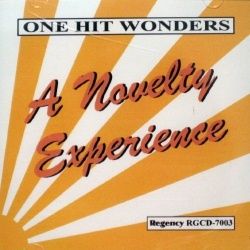 Novelty Experience One Hit Wonders 26 Tracks