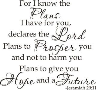 Jeremiah 2911 For I know the plans I have for you