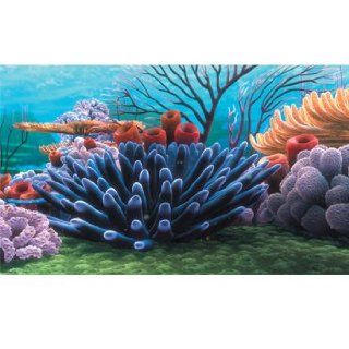 Penn Plax Coral Reel Aquarium, 20 Gallon