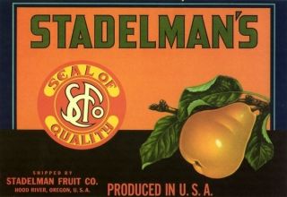 Stadelmans Fruit Crate Label Hood River Oregon 1940S