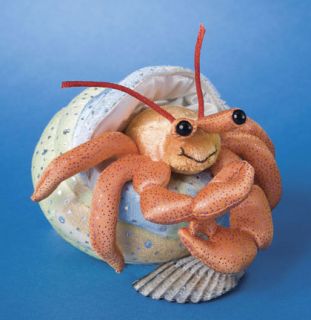 HENRY plush HERMIT CRAB 2 pcs comes out of shell  Douglas Cuddle