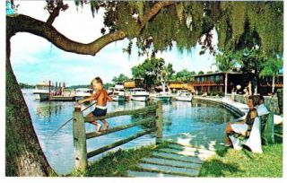 Homosassa Florida Postcard Riverside Villas Advertising Boats Kid