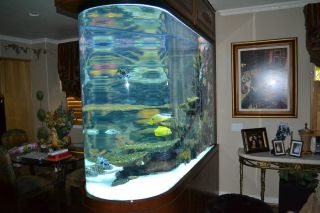 660 Gallon Bullet Shaped Fish Tank All Equipment included, must sell