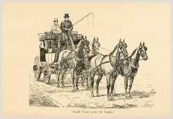 Driving Horse Drawn Coaches Art of Carriage Driving 13 Vintage Books