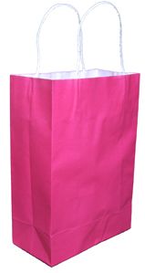 X25 Hot Pink Paper Gift Carry Tote Party Bags Handles Medium 200 x