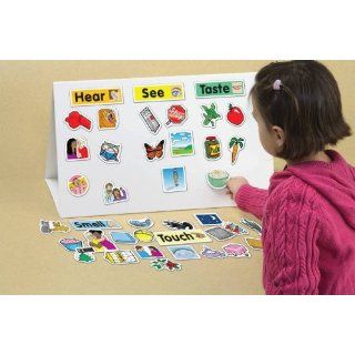 Childcraft Science Sorting Magnets Set   Includes Magnetic