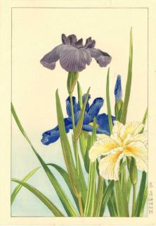 nishimura hodo irises date c 1938 takemura hideo yokahama 1926 39