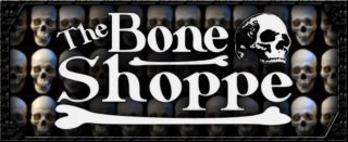Museum Replica Human Skull Real Bone Details Deluxe Teeth Adolescent