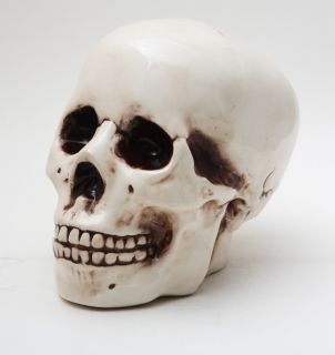 Ceramic Homosapien Skull Money Bank Statue Skeleton Figurine