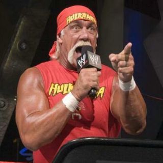 Hulkamania Hulk Hogan Red T Shirt WWF WWE Wrestling New