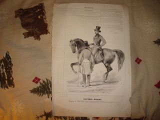 Antique French Mens Fashion Horse Equestrian Print