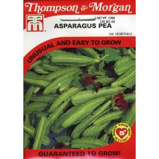 Thompson & Morgan 136 Asparagus Pea (Tetragonolobus
