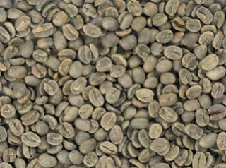 25 lb Kenya AA Green Coffee Beans