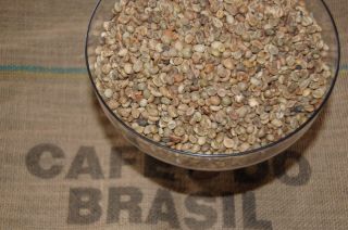 Green Coffee Bean Brazilian Robusta 17 lb Included Shipping
