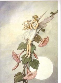 Ida Rentoul Outhwaite Fairy Greeting Cards Serenading
