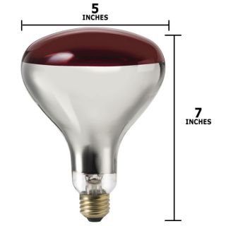  250w 120v R40 Red E26 FL60 Infrared Reflector Incandescent Light Bulb