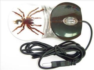 Optical Computer Mouse   Tarantula Spider Specimen (Black Case   Clear