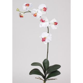 NEW 6 Silk Mini White Orchid FLOWERS Artificial Fake By The Stem   BTS
