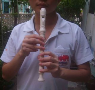 Yamaha Thai Flute Isan Laos Music Instrument Professional Beautiful