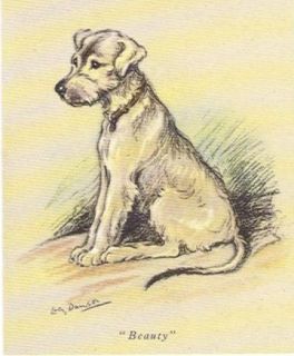 Irish Wolfhound Puppy Print   Lucy Dawson   