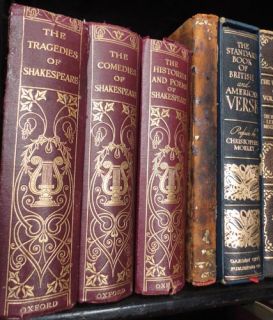 Magnificent 42 Book Antique Leather Premium Bound Library Lot Limited