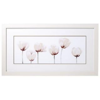 White Tulip Line up I 32 Wide Print   #K4907  