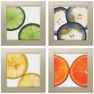 Set of 4 framed fruit art prints. Chrome to silver finish with epoxy