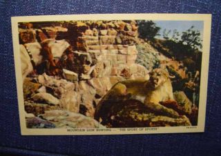 MT Lion Hunting Jack Butler Kanab Utah Linen Postcard